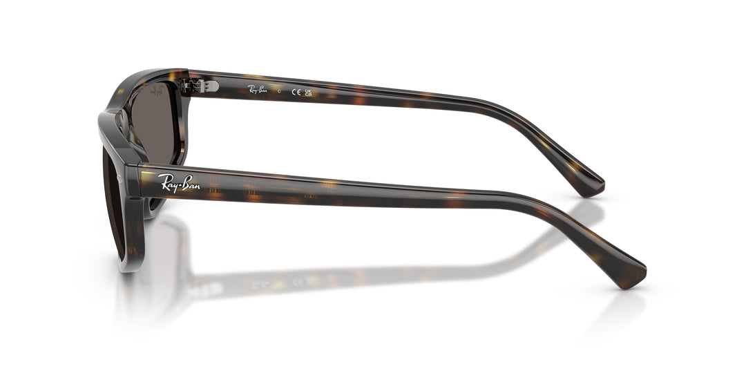 Ray-Ban 0RB2225 710/B1