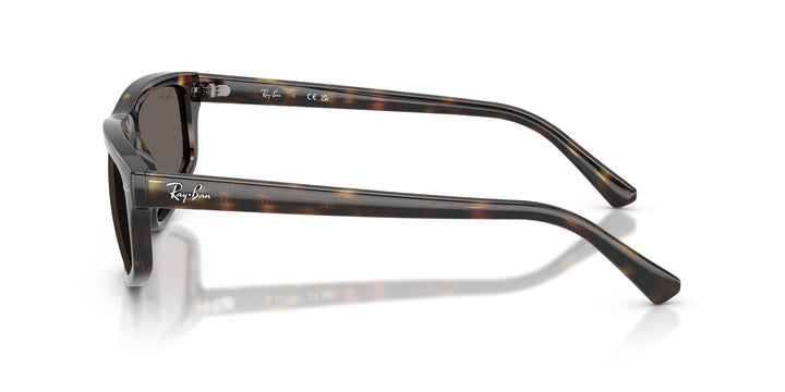 Ray-Ban 0RB2225 710/B1