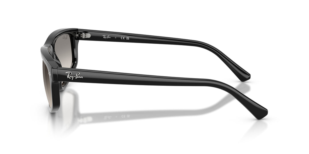 Ray-Ban 0RB2225 901/32