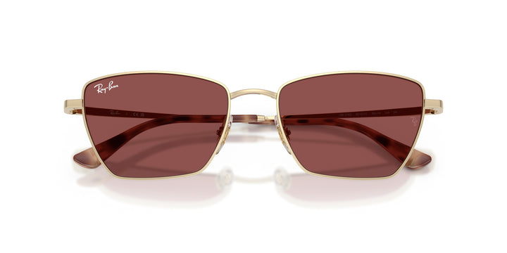 Ray-Ban 0RB3783 921375