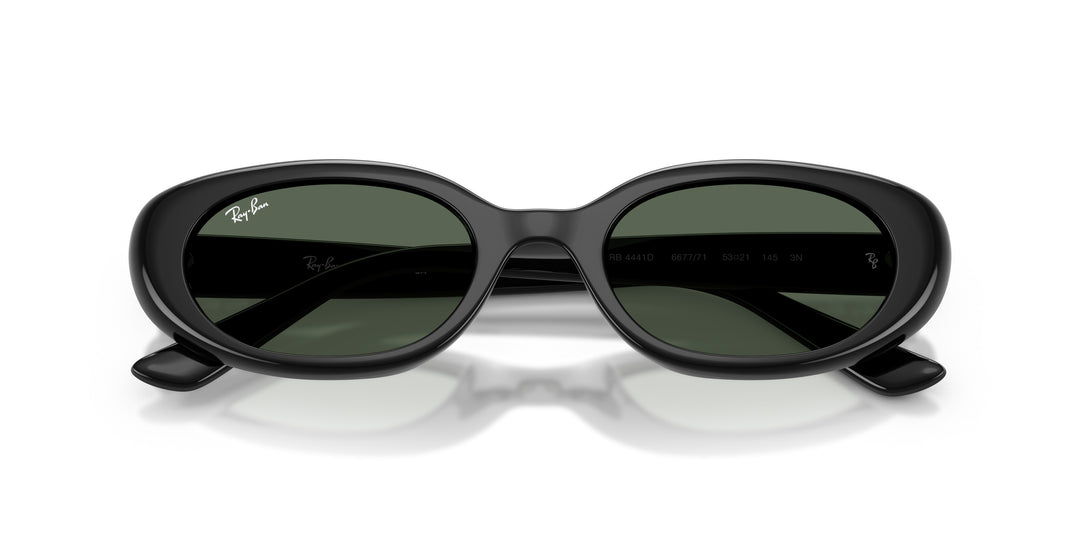 Ray-Ban 0RB4441D 667771