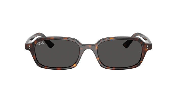 Ray-Ban 0RB4455 135987