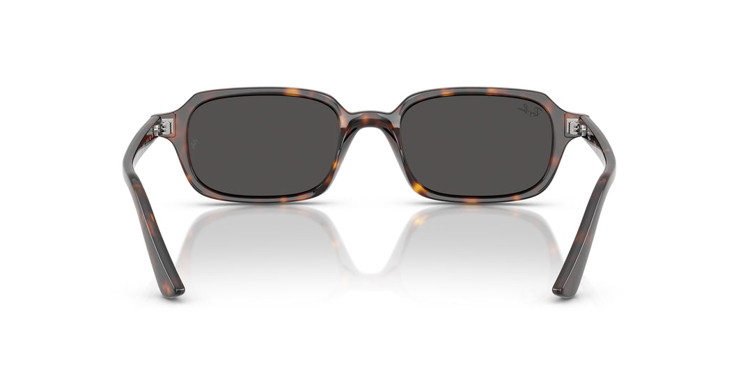 Ray-Ban 0RB4455 135987