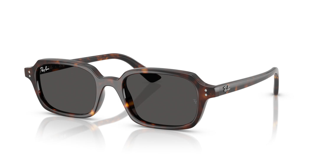 Ray-Ban 0RB4455 135987