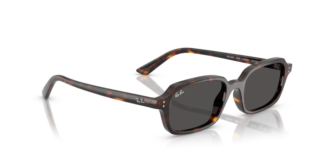 Ray-Ban 0RB4455 135987