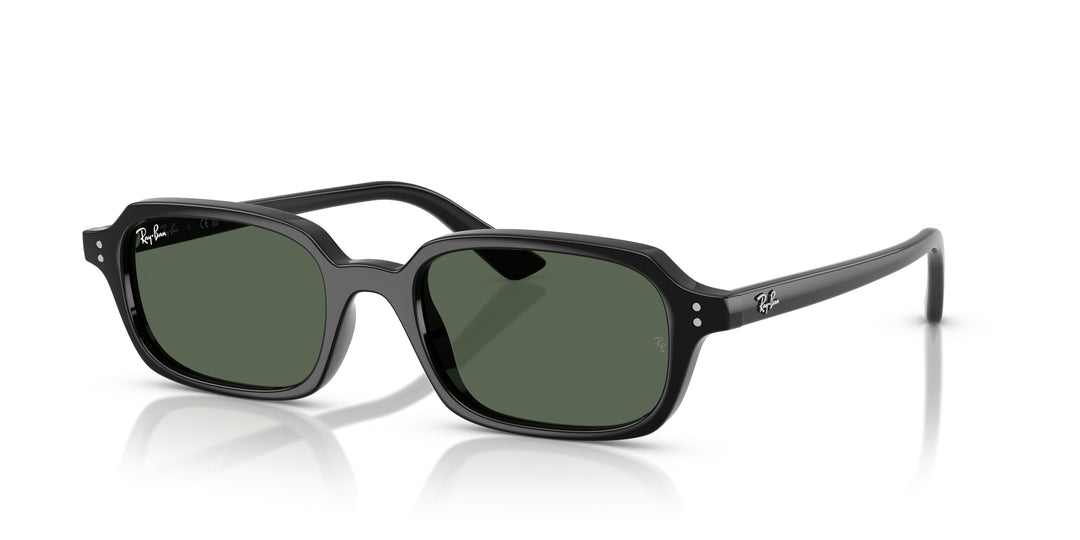 Ray-Ban 0RB4455 667771