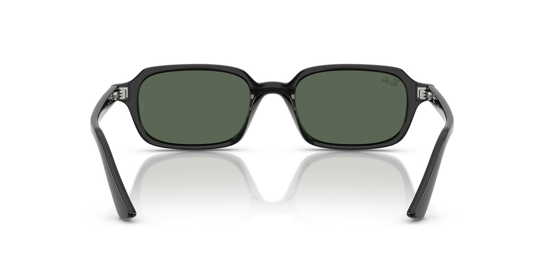 Ray-Ban 0RB4455 667771
