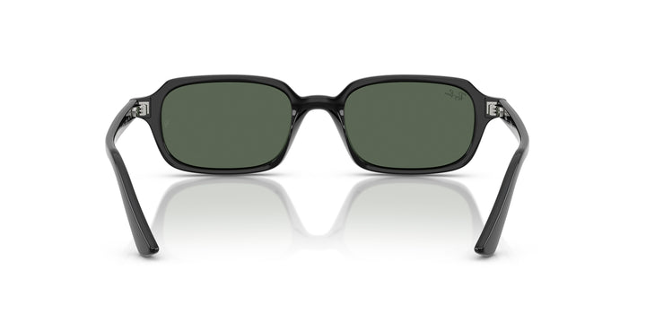 Ray-Ban 0RB4455 667771