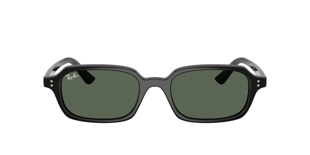 Ray-Ban 0RB4455 667771