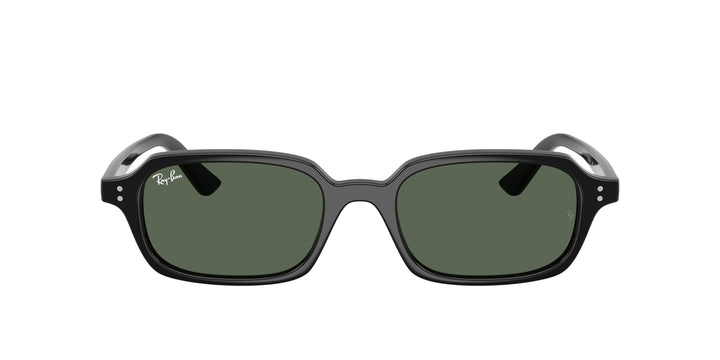Ray-Ban 0RB4455 667771