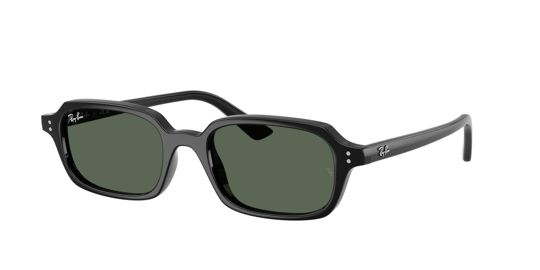 Ray-Ban 0RB4455 667771