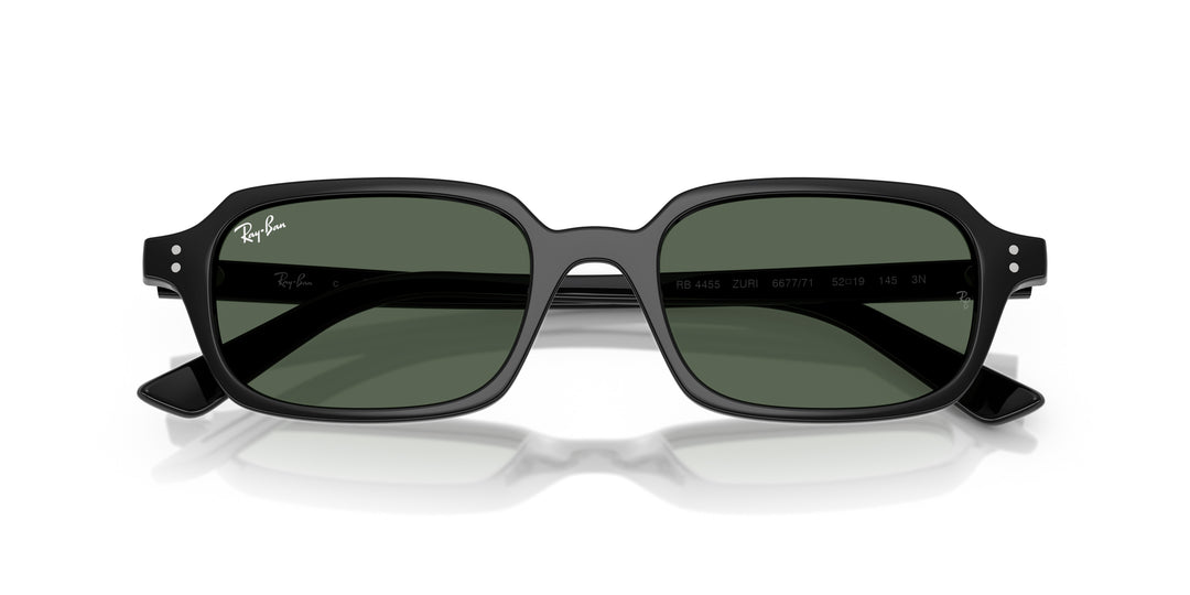 Ray-Ban 0RB4455 667771