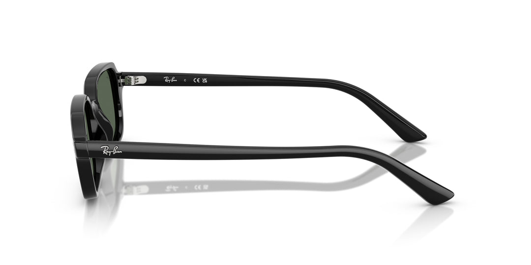 Ray-Ban 0RB4455 667771
