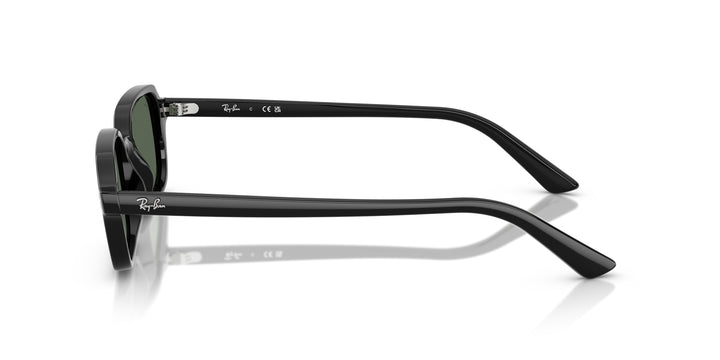Ray-Ban 0RB4455 667771