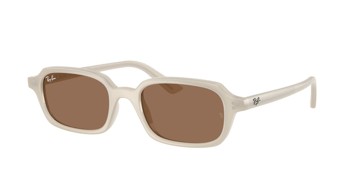 Ray-Ban 0RB4455 680873