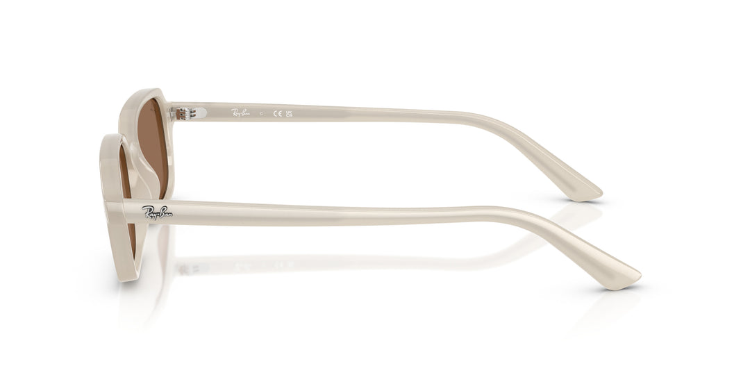 Ray-Ban 0RB4455 680873