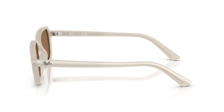 Ray-Ban 0RB4455 680873