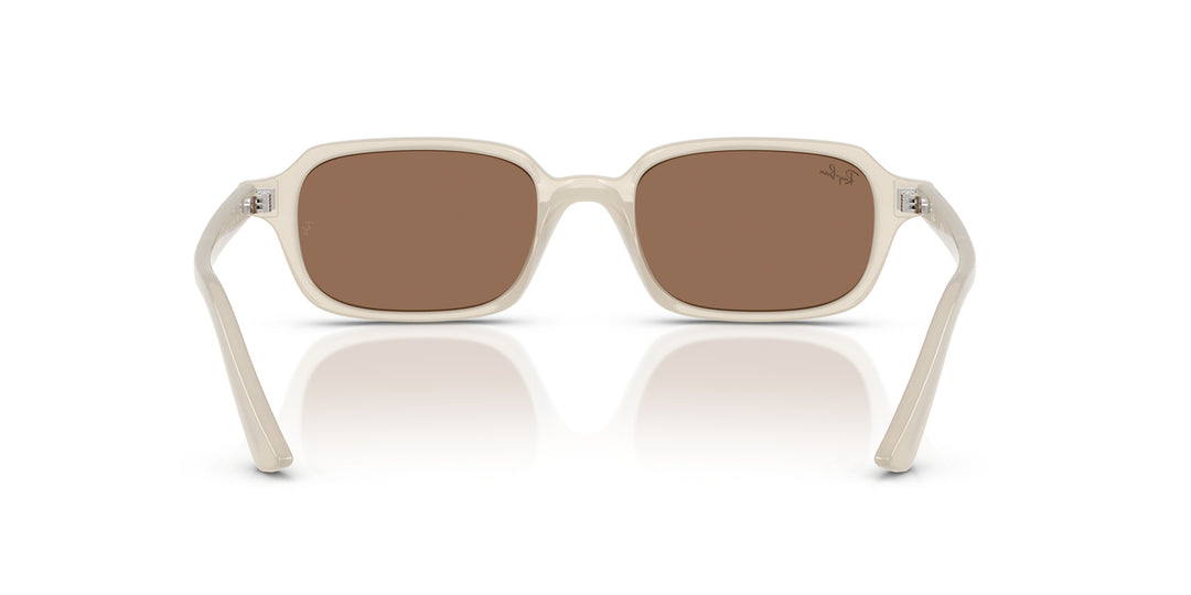 Ray-Ban 0RB4455 680873