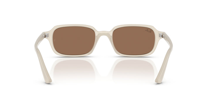 Ray-Ban 0RB4455 680873
