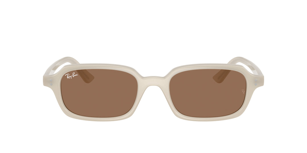 Ray-Ban 0RB4455 680873
