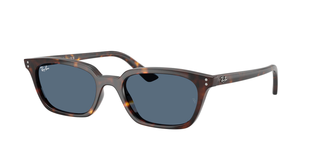 Ray-Ban 0RB4456 135980