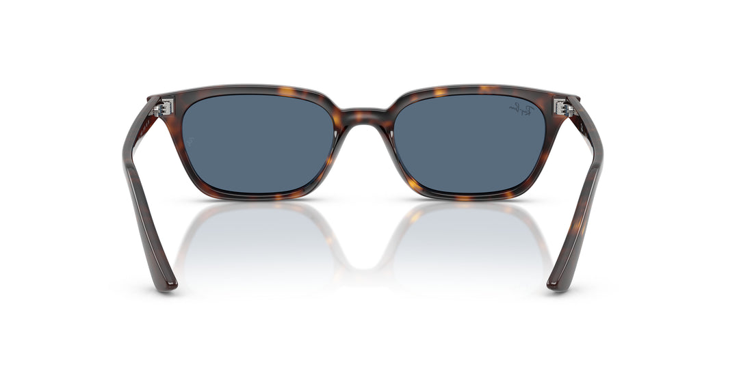 Ray-Ban 0RB4456 135980