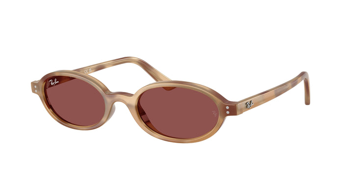 Ray-Ban 0RB4472 685675