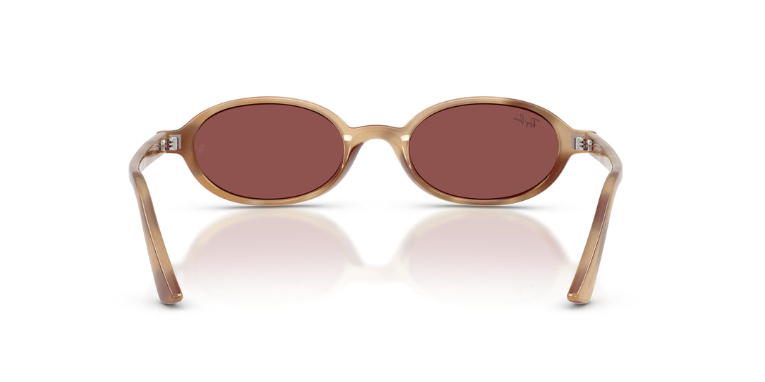 Ray-Ban 0RB4472 685675