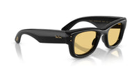 Ray-Ban Wayfarer Puffer - Unisex