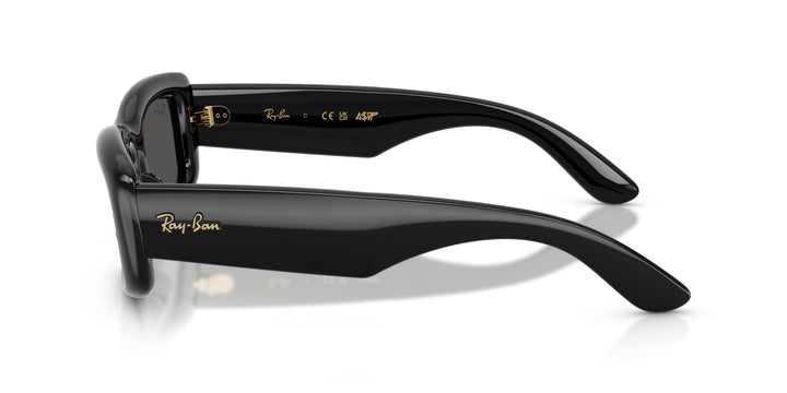 Ray-Ban Pillow - Unisex