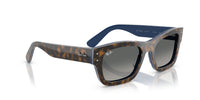 Ray-Ban 0RB7683S 140171