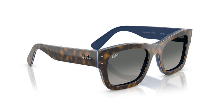 Ray-Ban 0RB7683S 140171