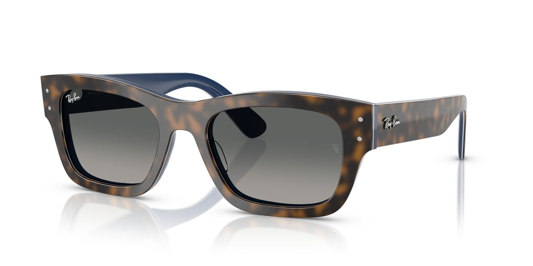 Ray-Ban 0RB7683S 140171