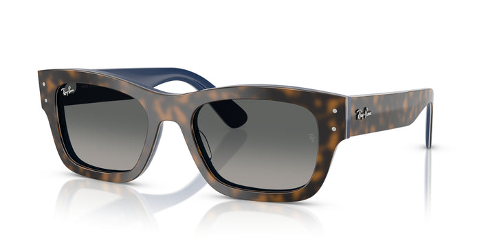 Ray-Ban 0RB7683S 140171