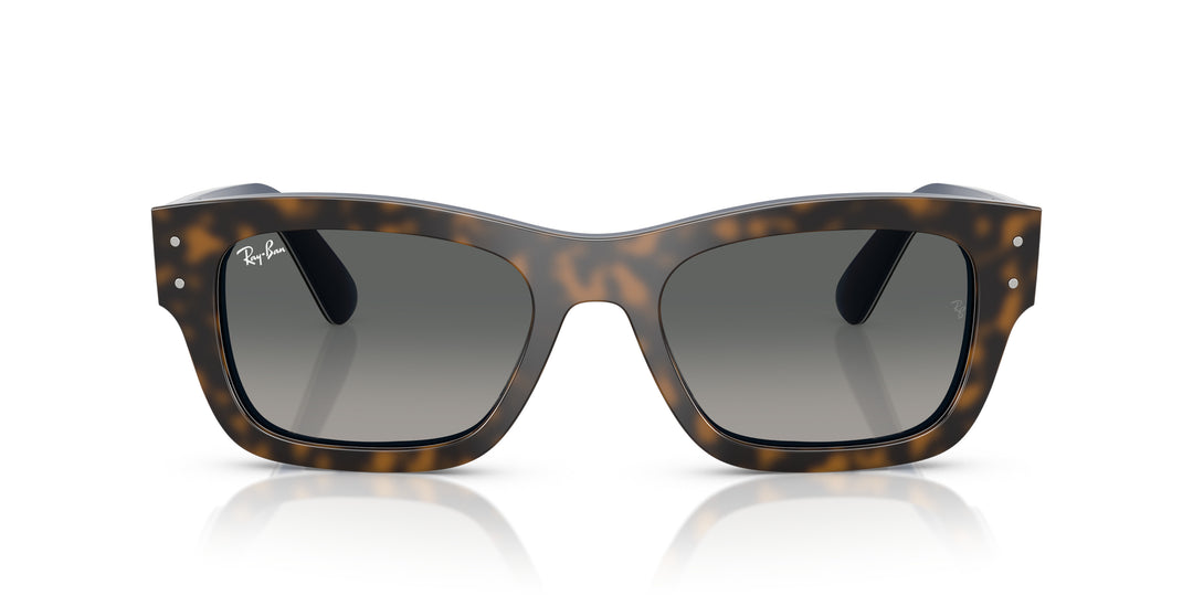 Ray-Ban 0RB7683S 140171