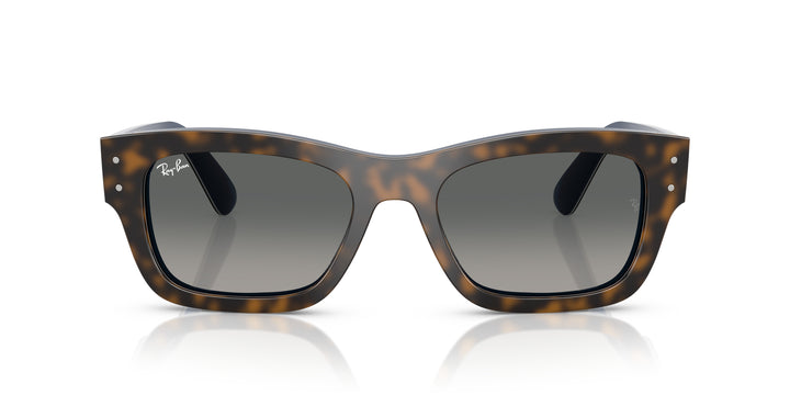 Ray-Ban 0RB7683S 140171