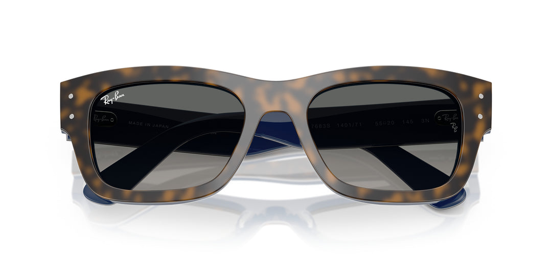 Ray-Ban 0RB7683S 140171