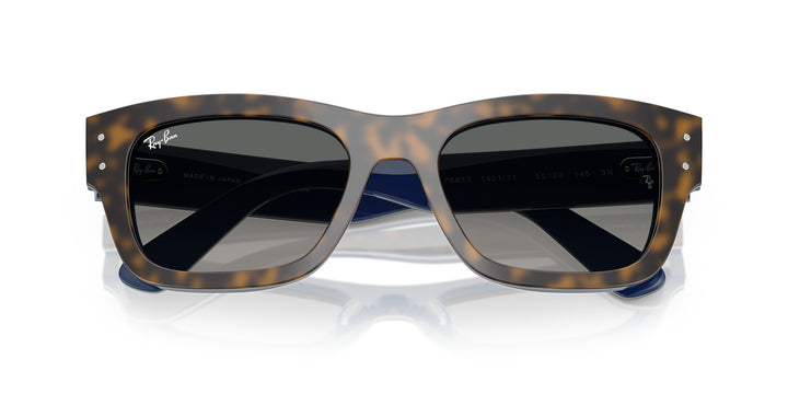 Ray-Ban 0RB7683S 140171