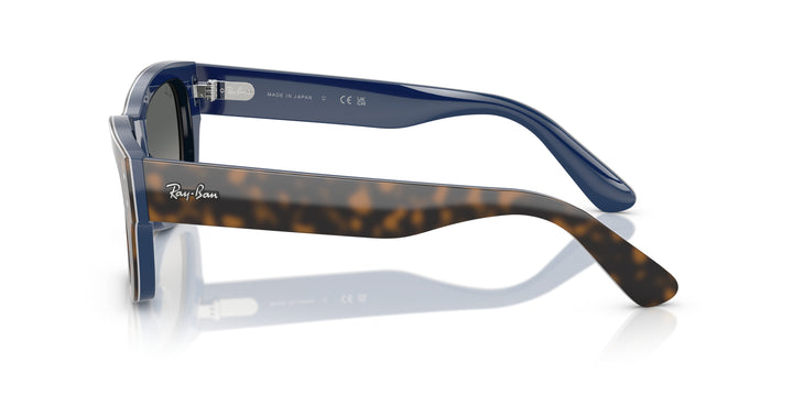 Ray-Ban 0RB7683S 140171