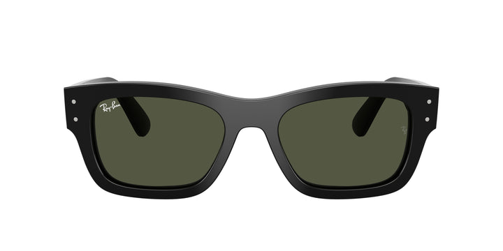 Ray-Ban 0RB7683S 901/31