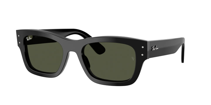 Ray-Ban 0RB7683S 901/31