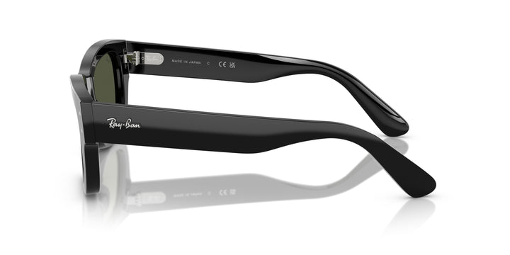 Ray-Ban 0RB7683S 901/31