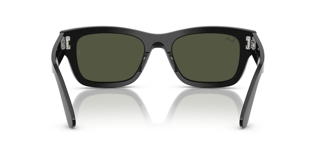 Ray-Ban 0RB7683S 901/31