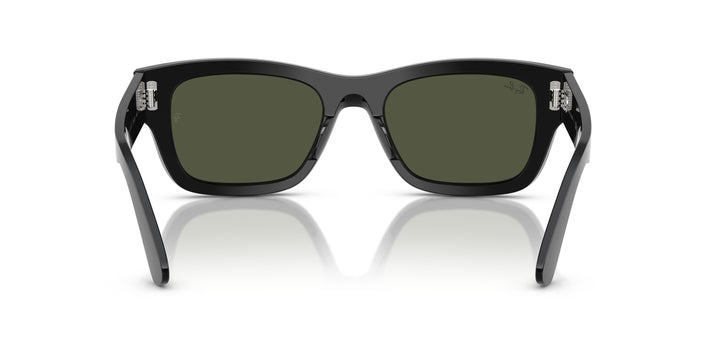 Ray-Ban 0RB7683S 901/31
