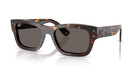 Ray-Ban 0RB7683S 902/B1