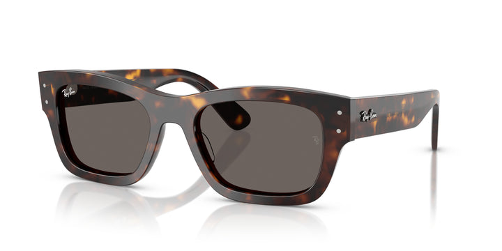 Ray-Ban 0RB7683S 902/B1