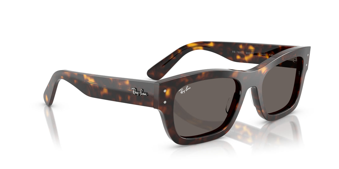 Ray-Ban 0RB7683S 902/B1