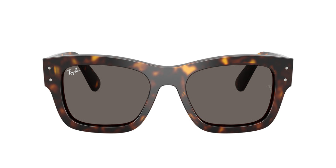 Ray-Ban 0RB7683S 902/B1