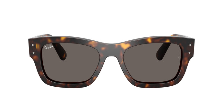 Ray-Ban 0RB7683S 902/B1