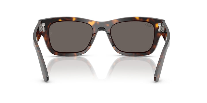 Ray-Ban 0RB7683S 902/B1